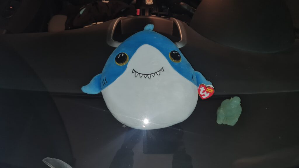 Ein unter der Windschutzscheibe eines Autos eingeklemmter Plüsch-Hai, daneben ein sitzender Buddah aus grüner Jade.