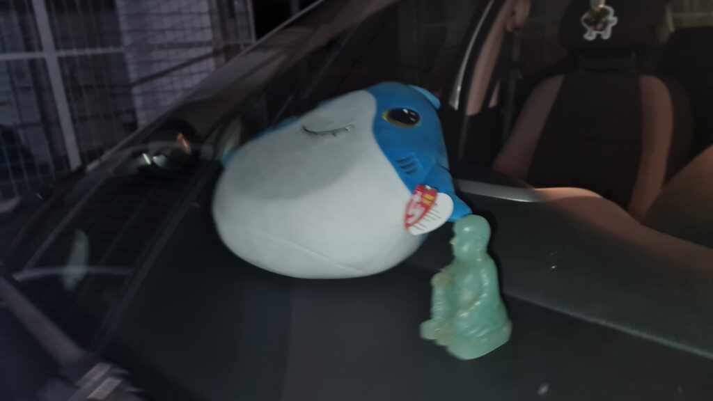 Ein unter der Windschutzscheibe eines Autos eingeklemmter Plüsch-Hai, daneben ein sitzender Buddah aus grüner Jade.