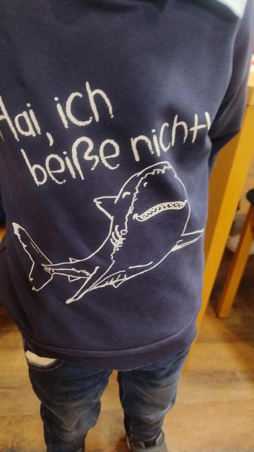 Ein Kind, dessen Gesicht im Bild nicht zu sehen ist, trägt einen Pulli auf dem ein Hai abgebildet ist. Der Schriftzug dazu lautet "Hai, ich beiße nicht."